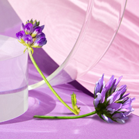 Retinol Reinvented with Bakuchiol